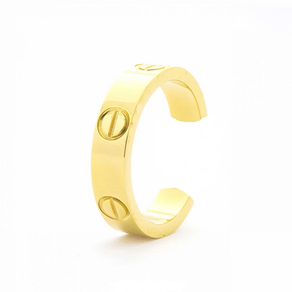 PIERCING FAKE CARTIER